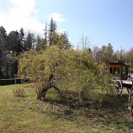 Le Veymont Villa Saint-Martin-en-Vercors Eksteriør bilde